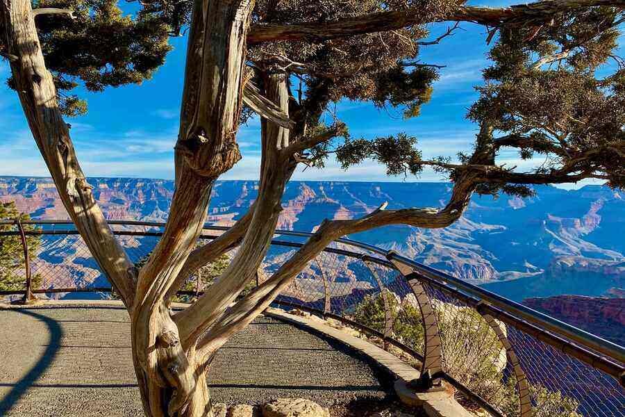 Grand Canyon Vistas And Incredible Views